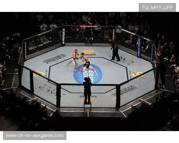 UFC拳腿连续训练更密集,打造终极格斗冠军之路 UFC拳腿连续训练更密集,打造终极格斗冠军之路